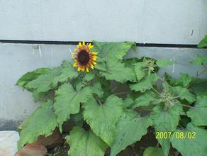 ���˿��Ƽ��ɽ�ѧ��Ƶ���й��鱦�����ʿ���� ����9��������������Ԫ�鱦...